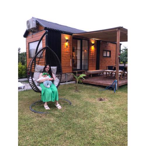 Lemon Tiny House