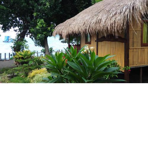 Lena house Flores