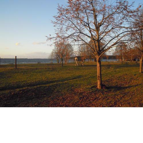 Lenzer Parkblick am Plauer See