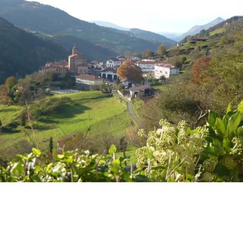 Letea