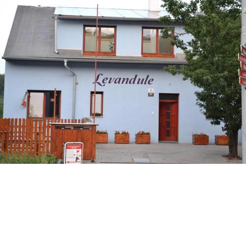 Levandule