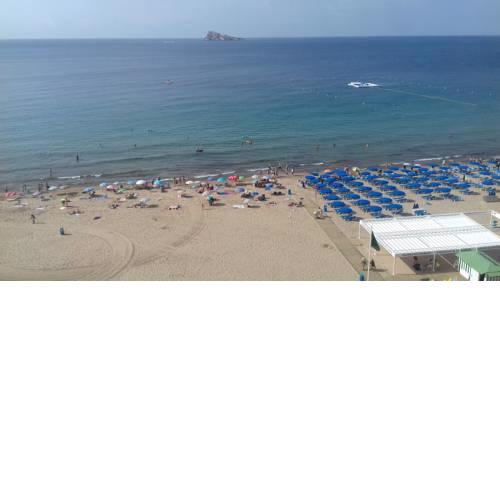 Levante 1º línea