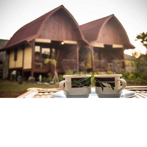 Lia Jaya Bungalows