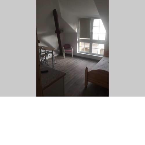 Lichtdurchflutetes Zimmer mit Küche