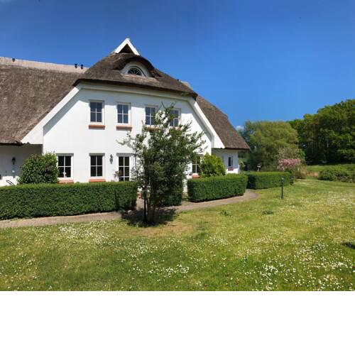 Lieblingsplatz im Reethus - a46964