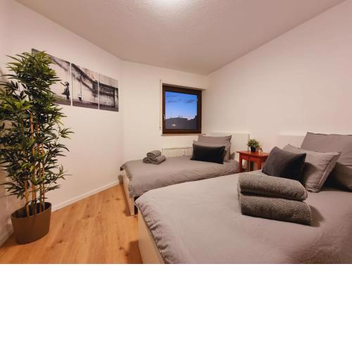 Lifestyle-Appartment near BASF in Ludwigshafen