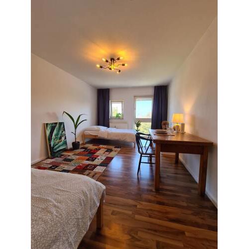 Lifestyle-Appartment near Castle in Schwetzingen