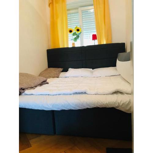Light and spicy, 2 Rooms apartment 60m2