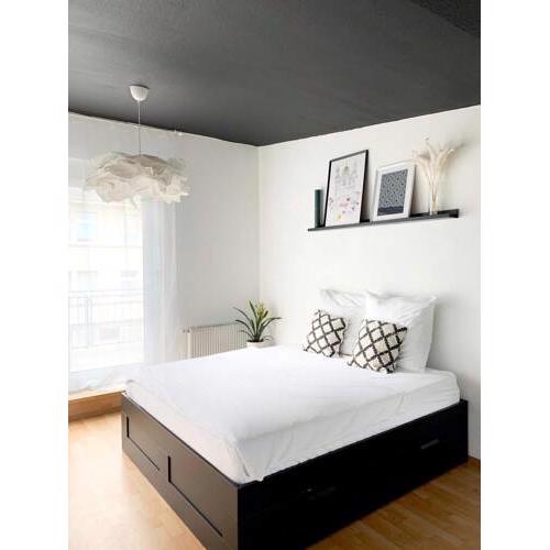 Light, fair and cozy room in Central Frankurt