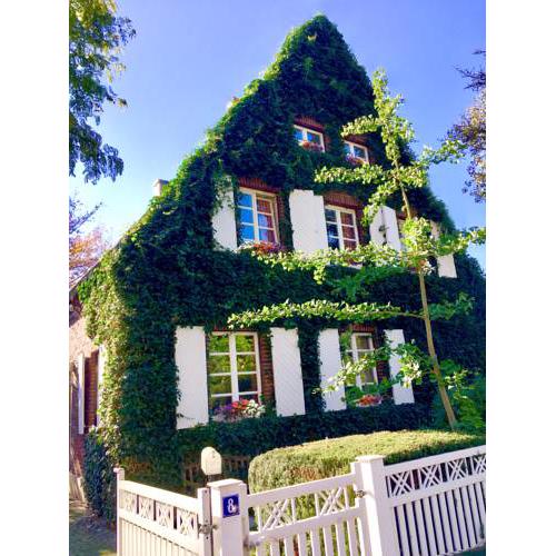 Lilis kleines Hotel