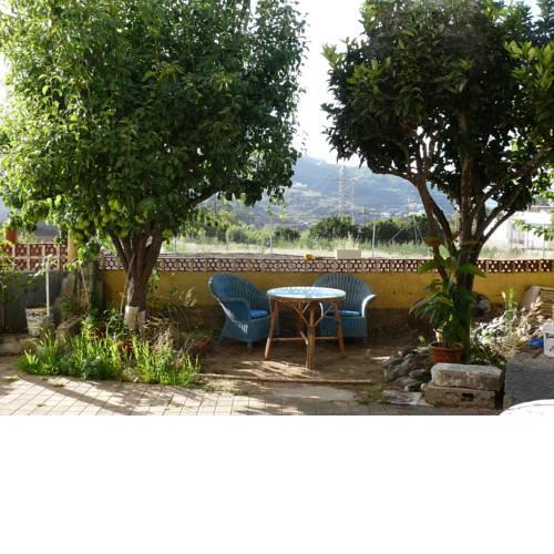 Lillys place
