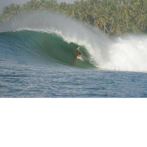 Lilys Nias Surf Camp