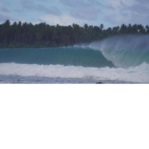 Lilys Nias Surf Camp