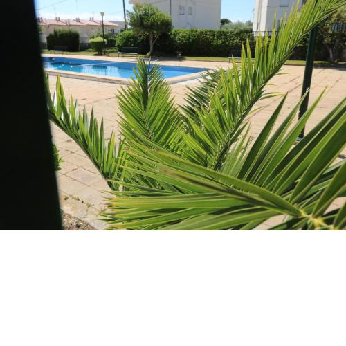 Lisboa 4 - Piso con piscina comunitaria