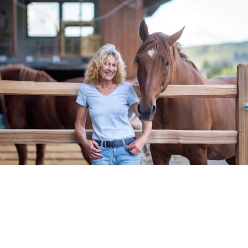Little Graceland - a53688