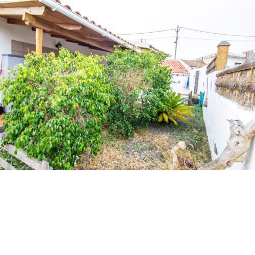 Live Arico El Cortijo