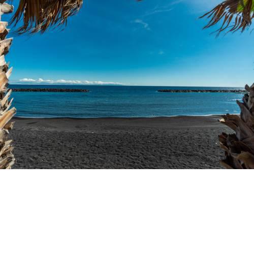 Live Puertito Casa Carlos