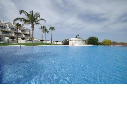 Livingtarifa Olivina