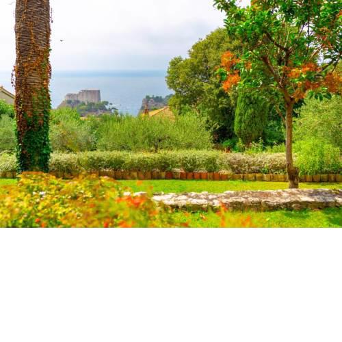 Lizaelle Gardens