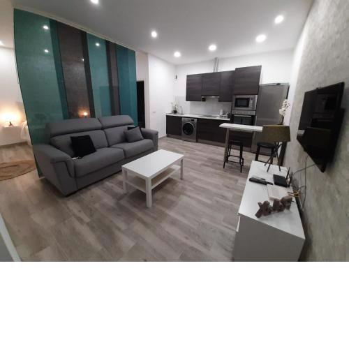 LOFT céntrico cerca de la playa LA BIZNAGA