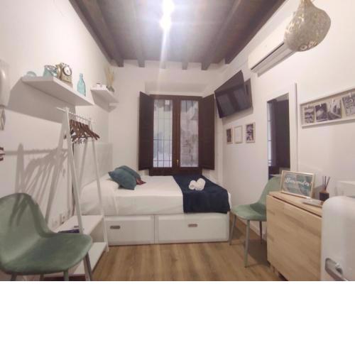 Loft en Carrera de la Virgen