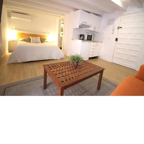 Loft in the Heart of Seville