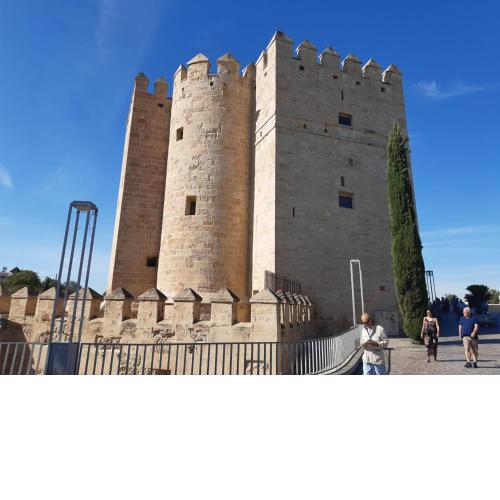 Loft La Calahorra 1