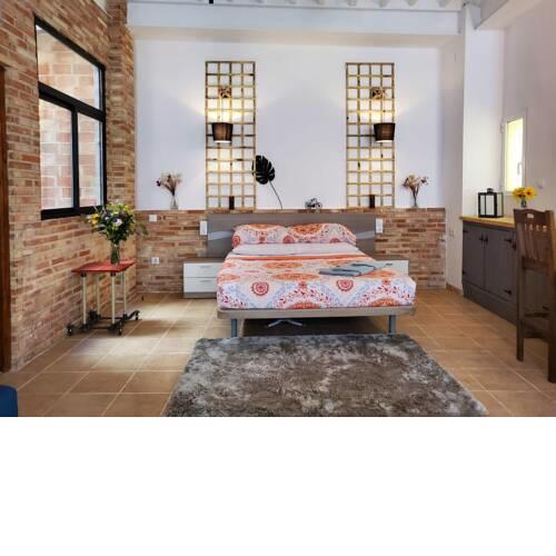 Loft. Old city (Happy Alicante)