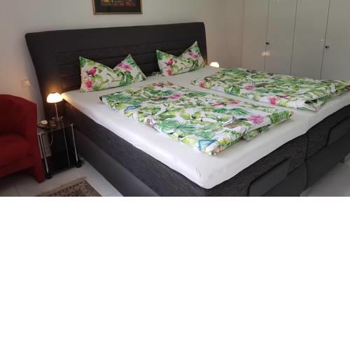 Loft Orchidee 2