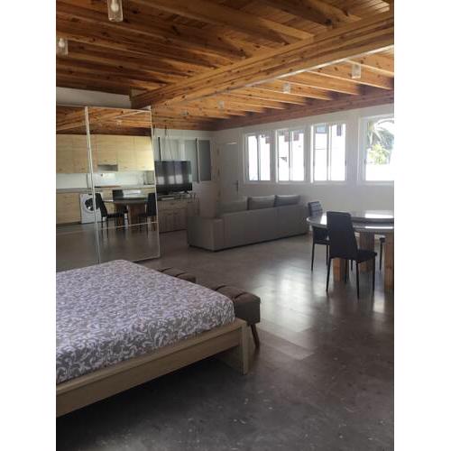 Loft Palacios-Herrero