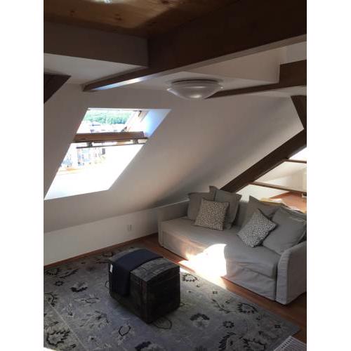 Loft with a view