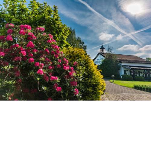 Lohmann's Romantik Hotel Gravenberg