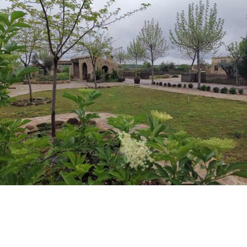 Los Castillos