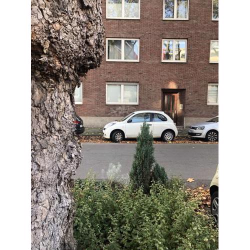 Love your stay in Düsseldorf