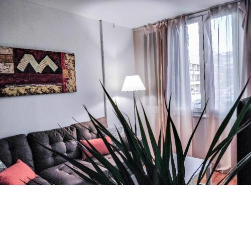 Lovely 2 bedroom apartment near the beach