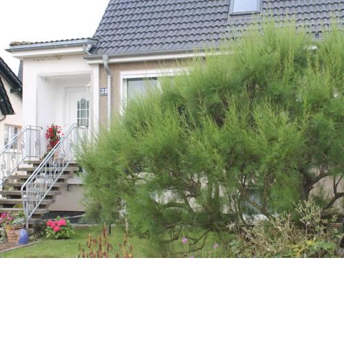 Lovely Apartment in Kuhlungsborn near the Sea