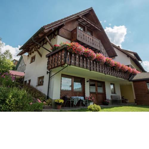 Lovely Apartment in Neukirch with Private Terrace