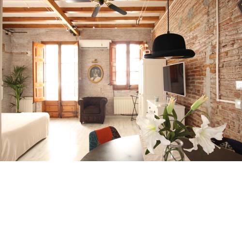 Lovely loft near Barcelona center