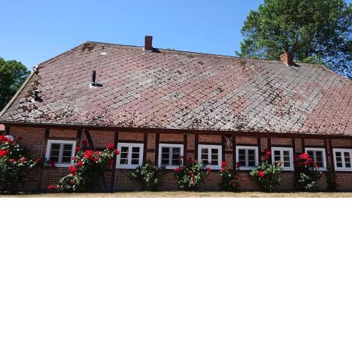 Lüdersburger Strasse 15a