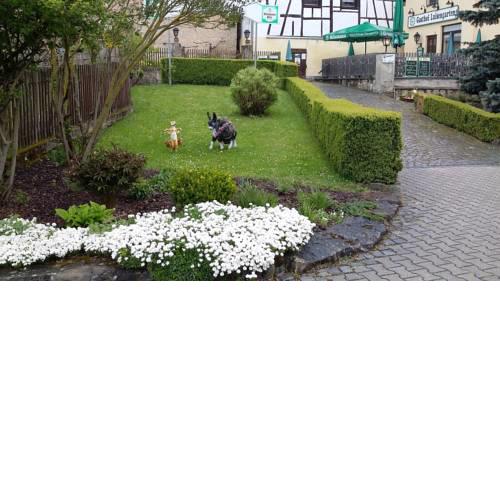 Luisengarten Pension Garni