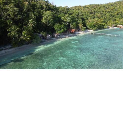 Lumba Lumba Homestay