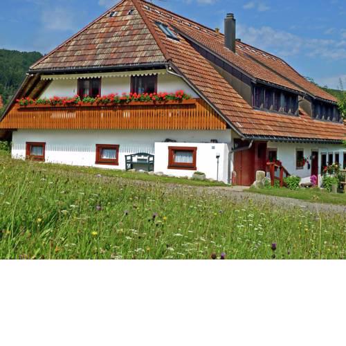 Luscious apartment in Black Forest with free Wi-Fi