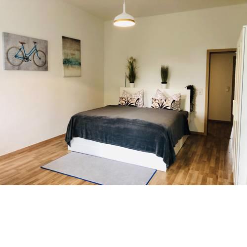 Lutherviertel-Apartment mit 2 SZ in Uni-Nähe
