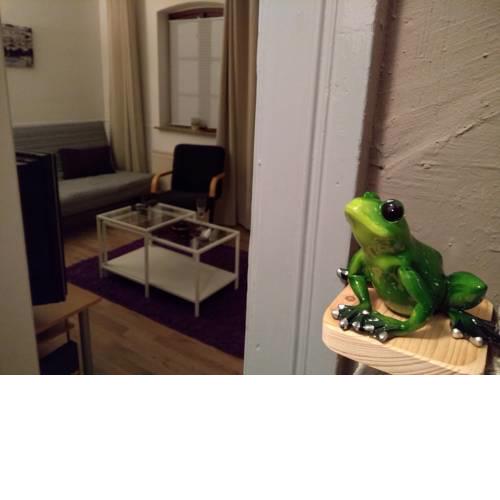 Lütten Hoppetutz (kleiner Frosch)