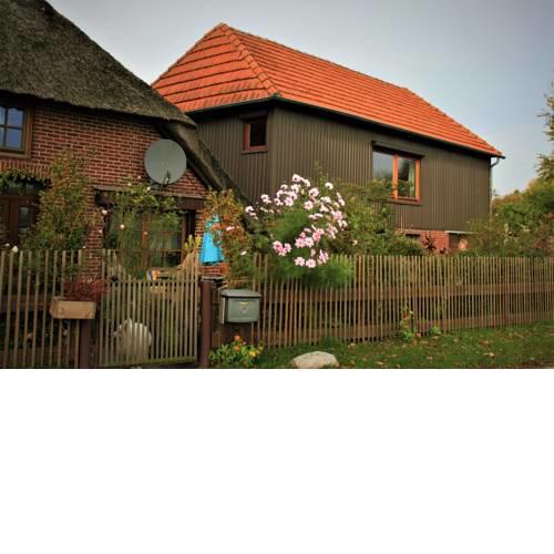 Lüüntjenest