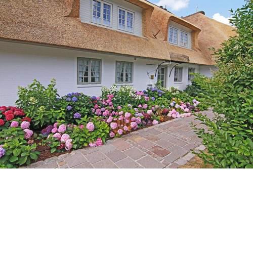 Lüüv Hooge Whg.26