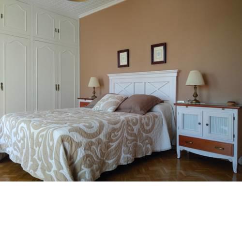 Luxurious Apartament Center Market Alicante