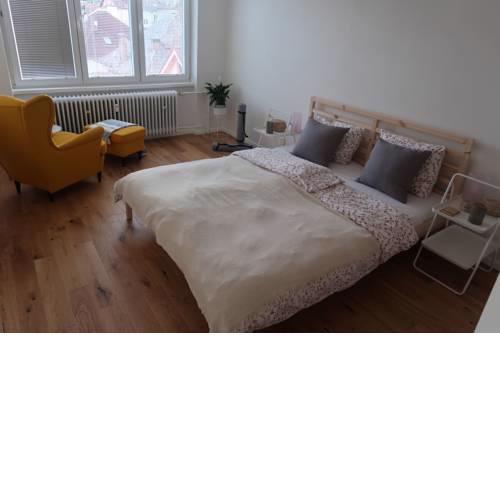 Luxurious apartment 3 min walk to city center - snack, beverages included in price