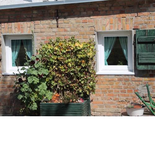 Luxurious Apartment in Damgarten with Garden