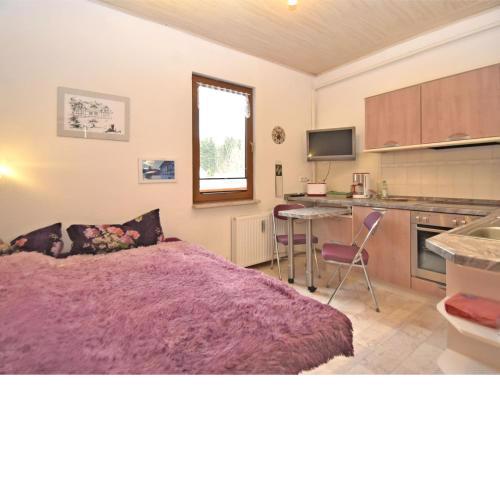 Luxurious Apartment in Johstadt with Terrace